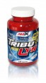 /products/amix-tribulyn-40-750mg-220-kapsli/